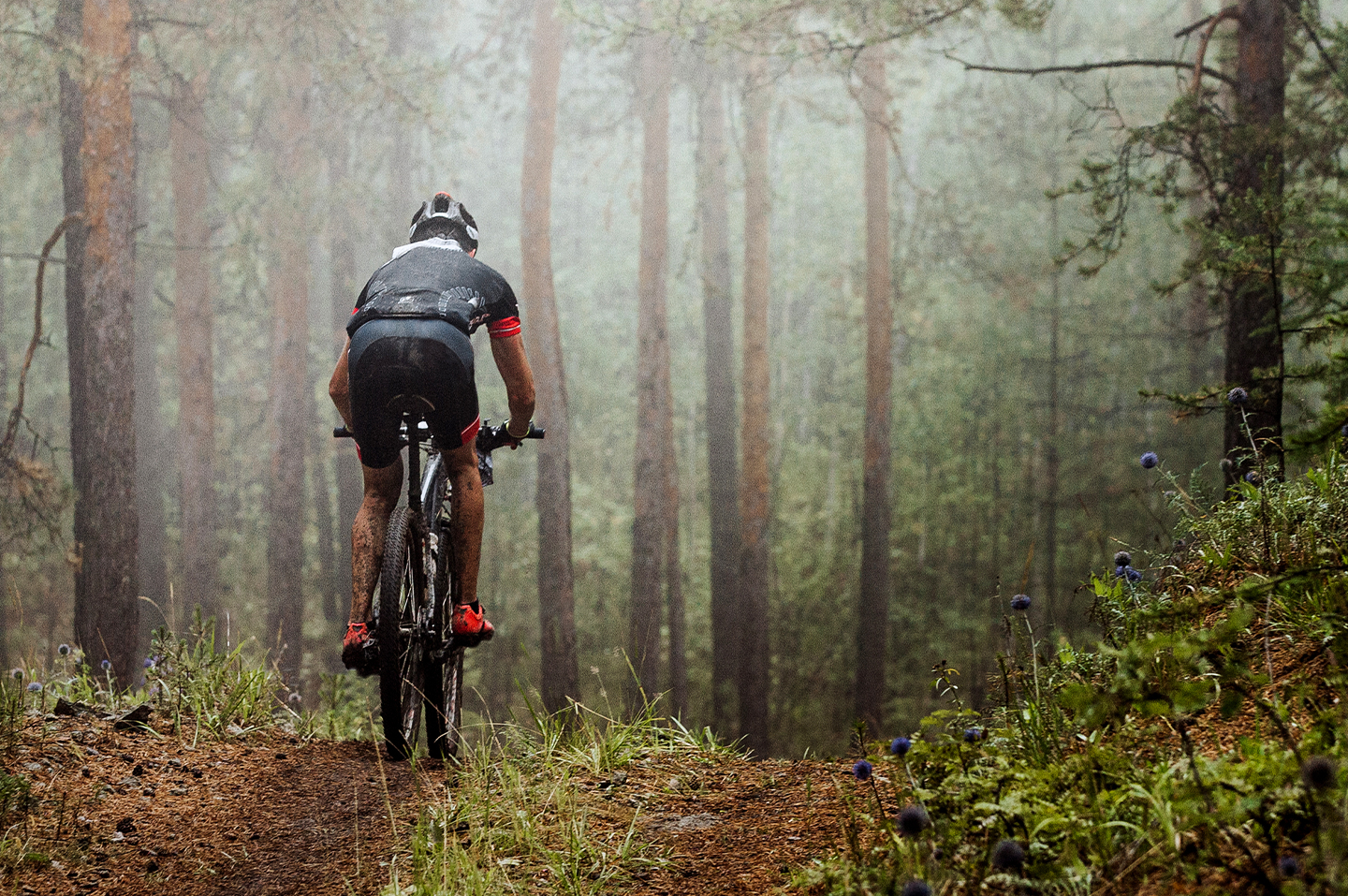 A man mountain biking through a wood in Vermont