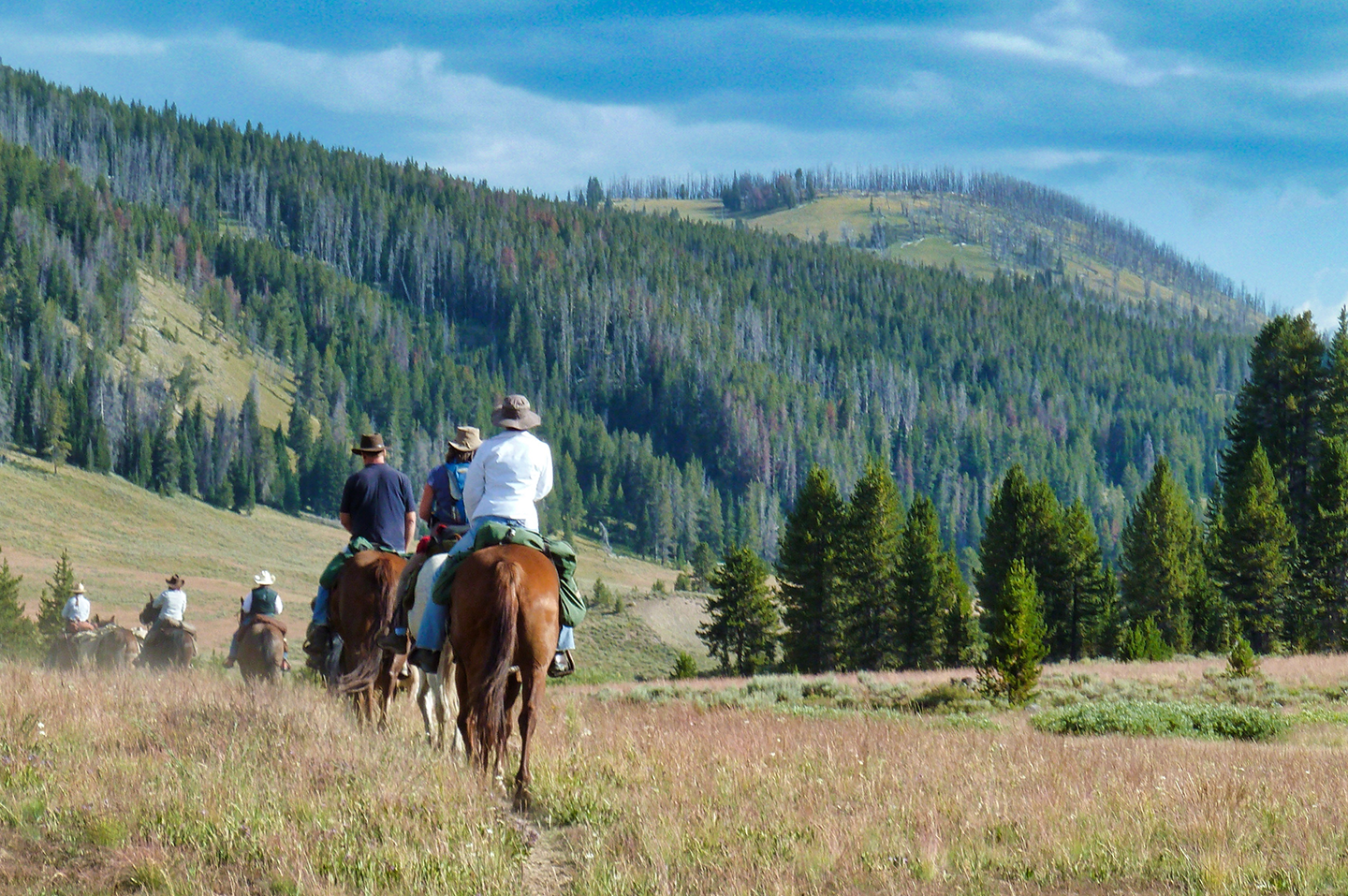 People on a group horseback ride in Wyoming
