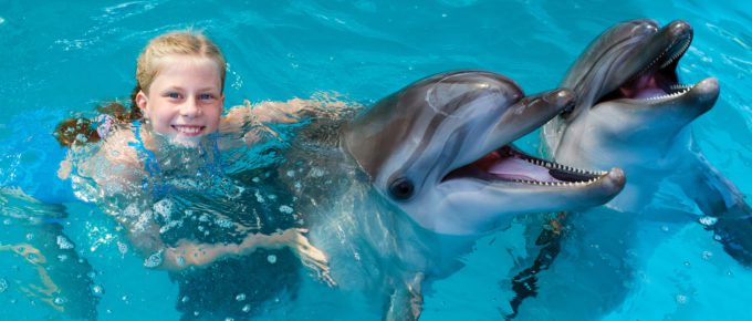 Swimming with dolphins