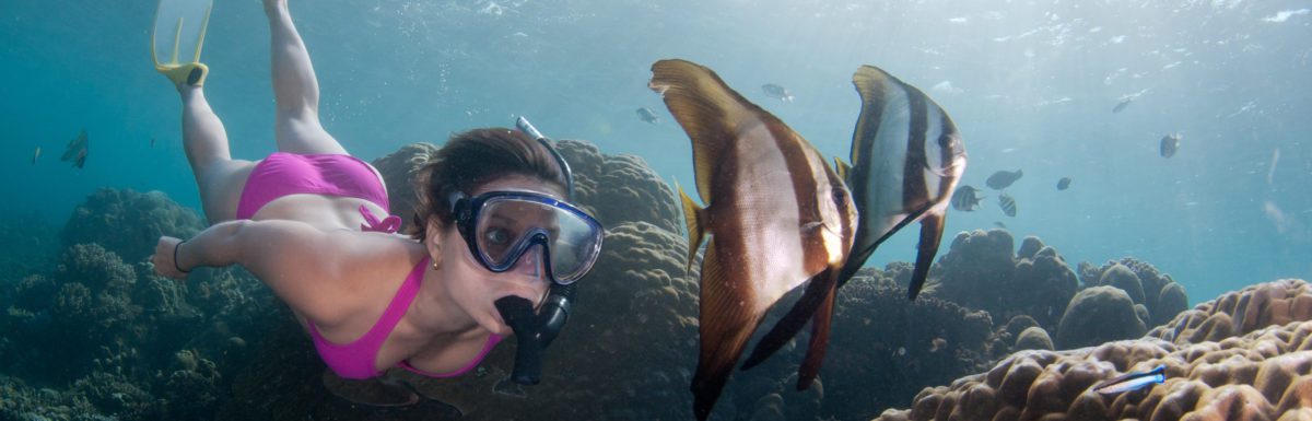 Snorkeling Hawaii