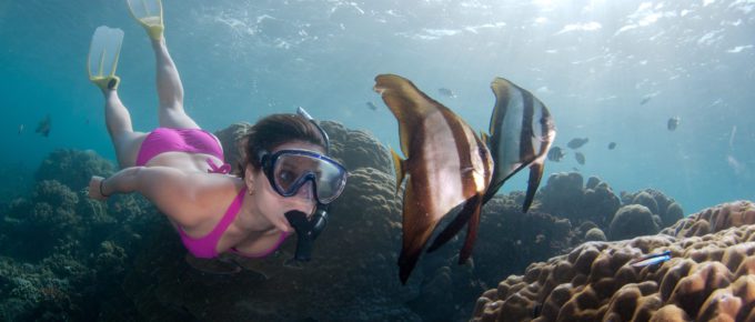 Snorkeling Hawaii