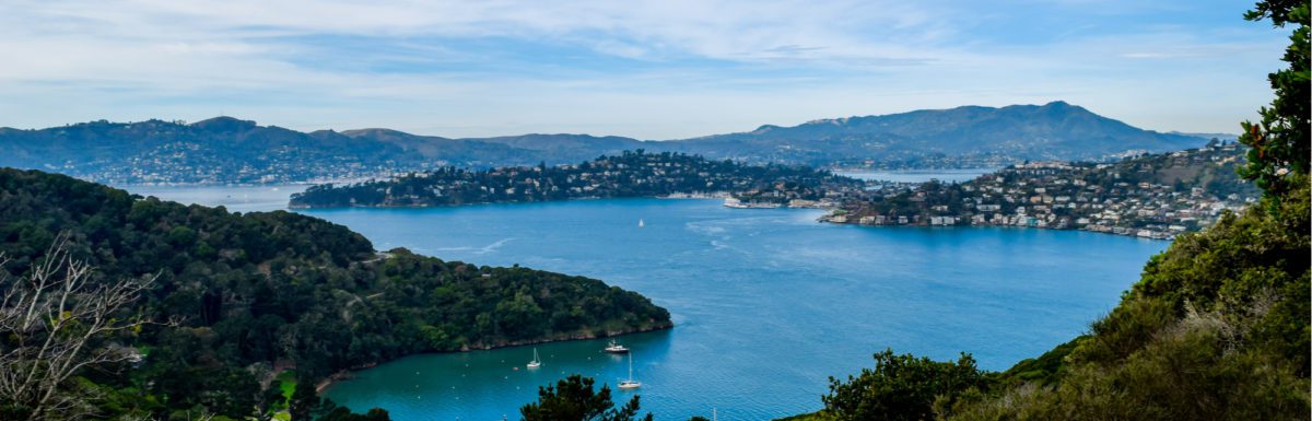 San Francisco Bay family hike