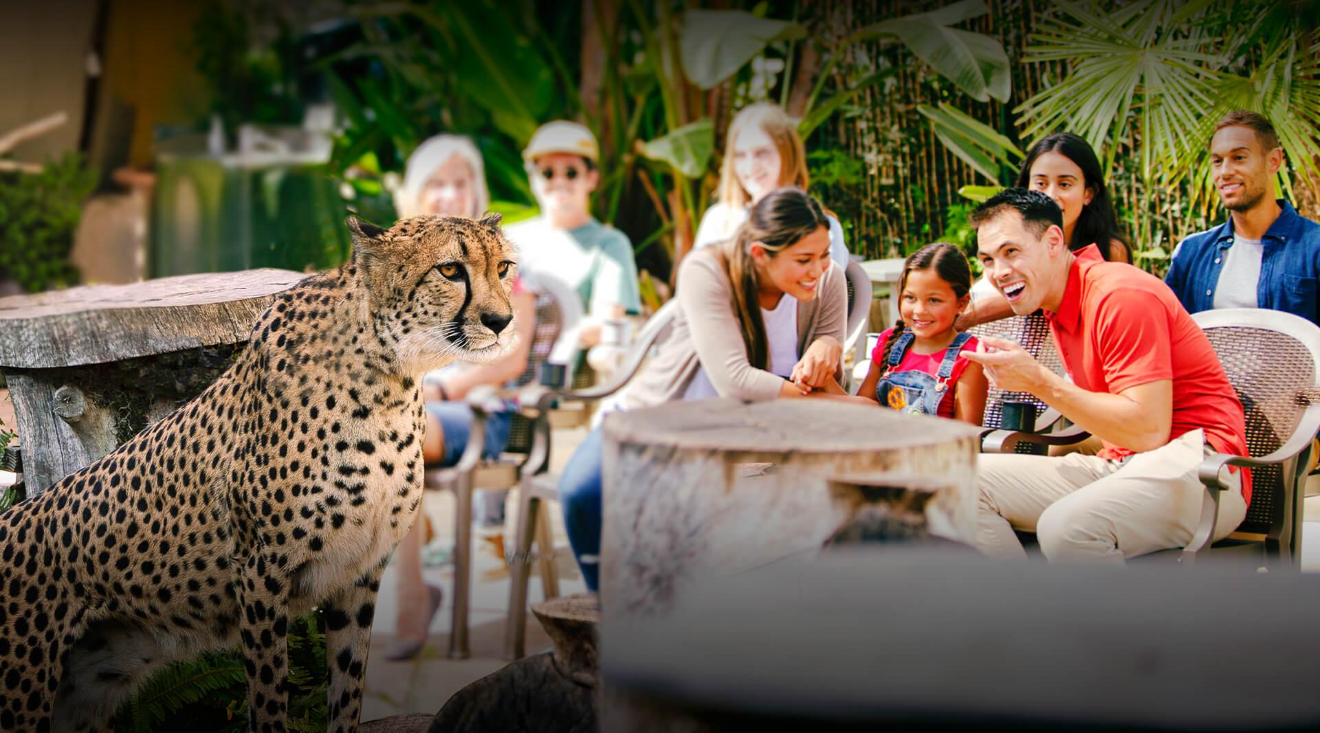 10 of the Best Zoos in California The Family Vacation Guide