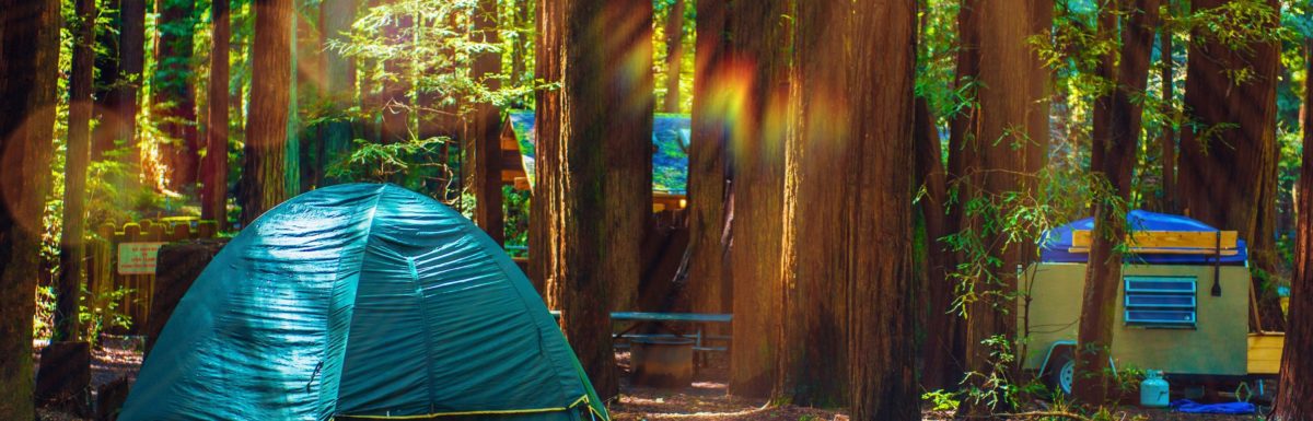Family Camping Spots Northern California
