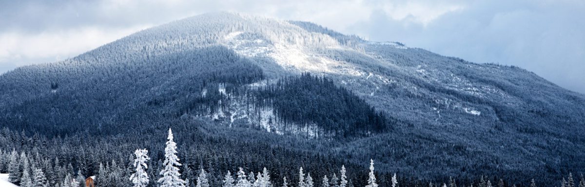 Tennessee snow