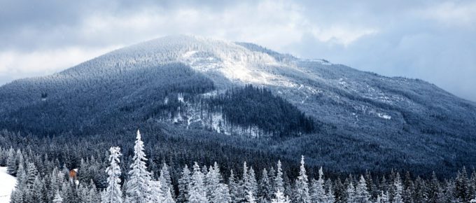 Tennessee snow