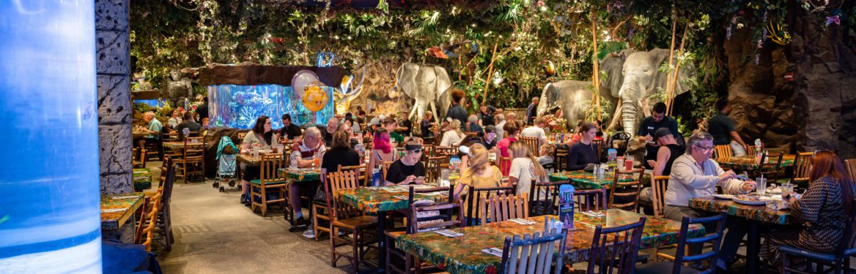 Disney Springs or Downtown Disney during Christmas season with Christmas decorations and people walking around.