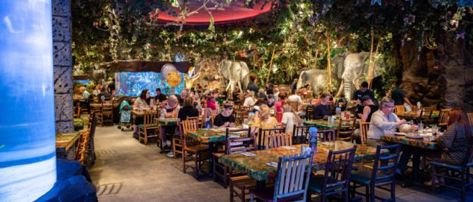 Disney Springs or Downtown Disney during Christmas season with Christmas decorations and people walking around.