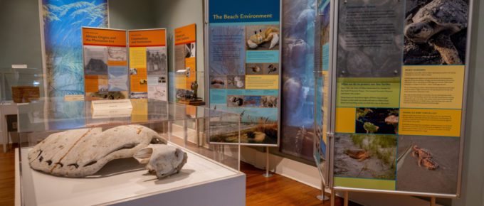 An educational museum display at the Coastal Discovery Museum at Hilton Head Island, South Carolina.