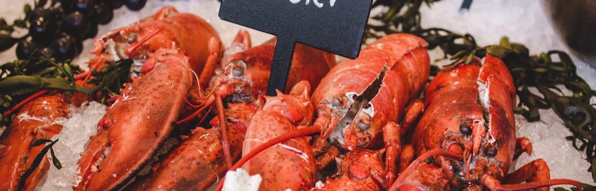 Lobsters at Lazy Lobster Seafood in Key Largo, Florida.