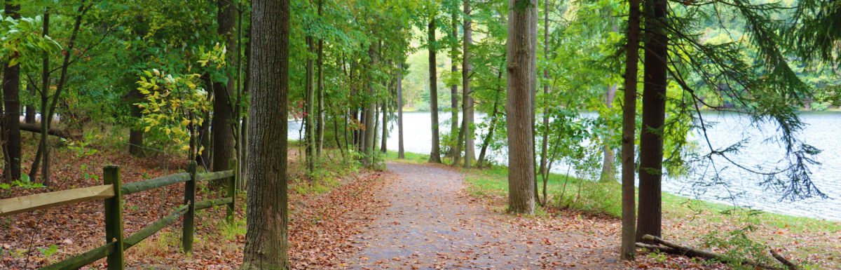 Beautiful and peaceful trail at Cowans gap state park, Pennsylvania.