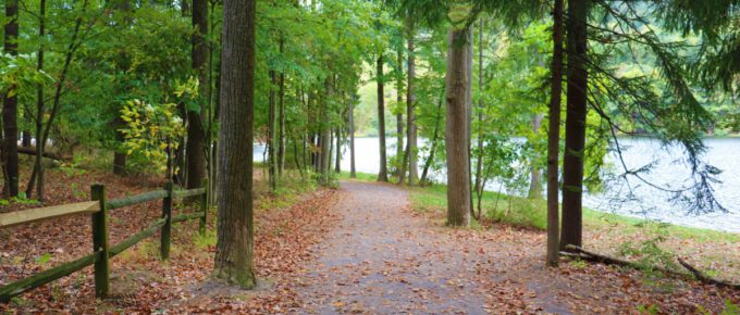 Beautiful and peaceful trail at Cowans gap state park, Pennsylvania.