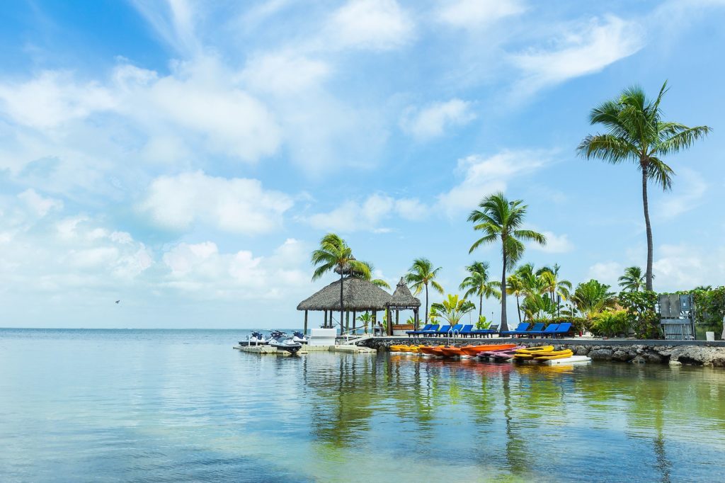 11 of the Best Things to Do in Key Largo with Kids The Family