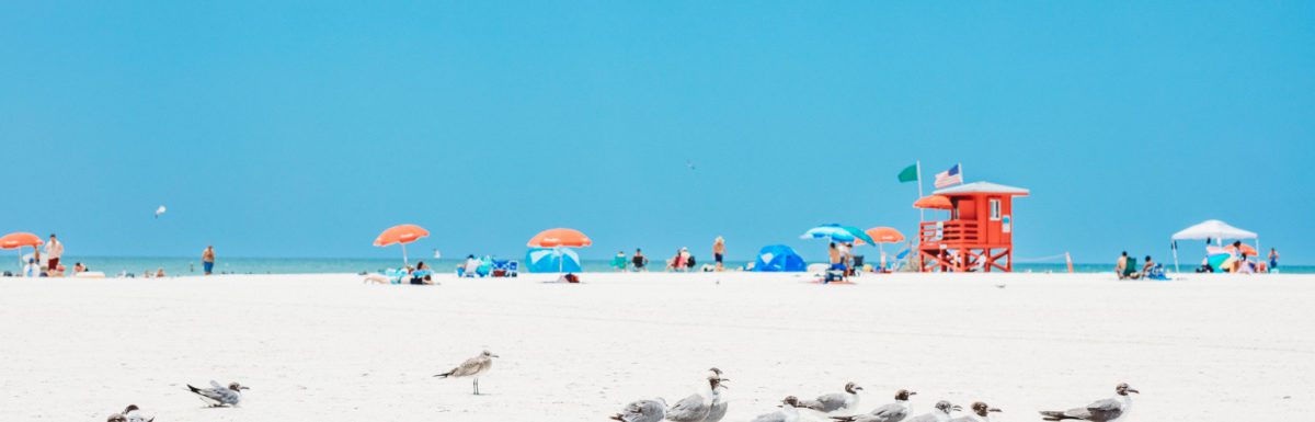 Red wooden lifeguard hut and seagulls on an empty beach in Sarasota, Florida, USA.