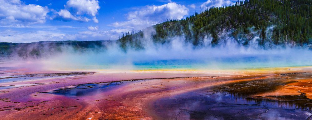 Yellostone National Park