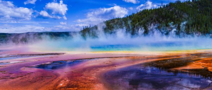 Yellostone National Park