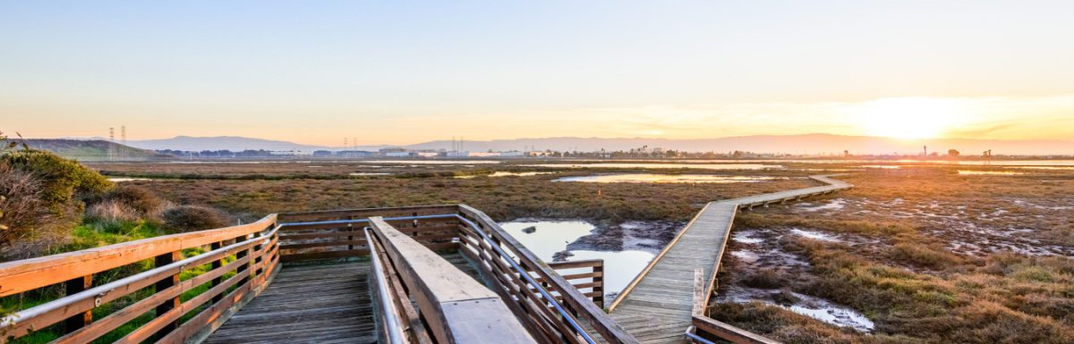 Wooden boardwalk through the tidal marshes of Alviso, Don Edwards San Francisco Bay National Wildlife Refuge in California.