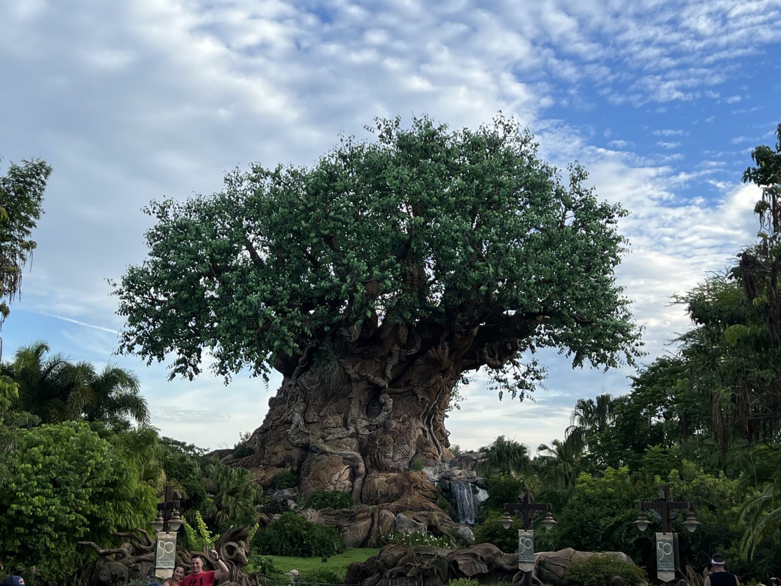 How to Get from Disney Springs to Disney’s Animal Kingdom The Family Vacation Guide