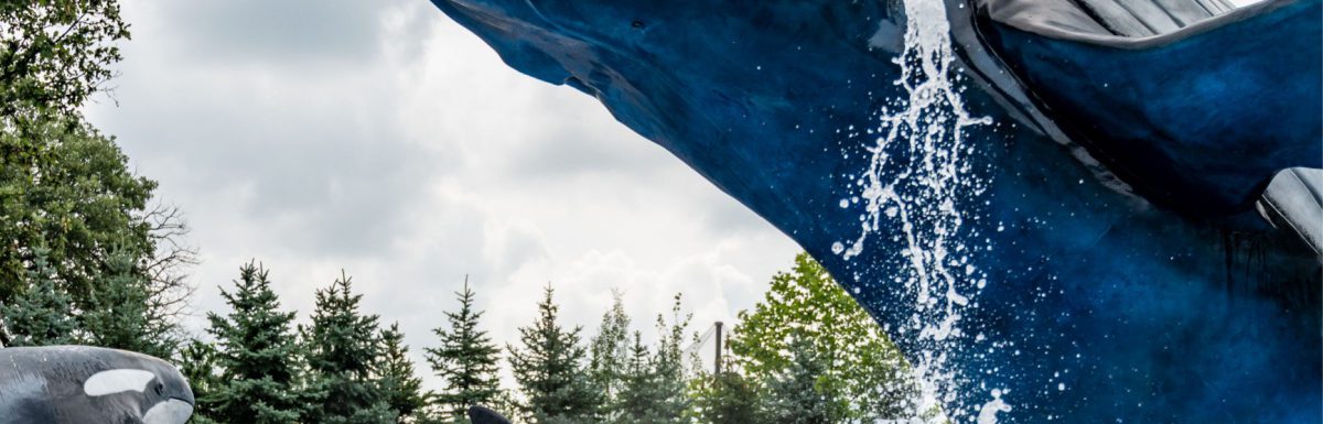 A beautiful photo of one of the best water park hotels in Ohama, Nebraska.