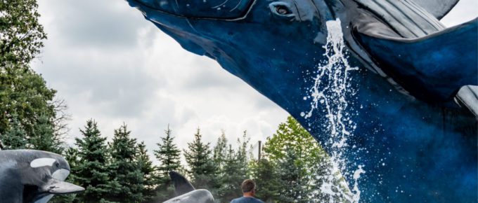 A beautiful photo of one of the best water park hotels in Ohama, Nebraska.