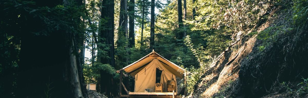 Glamping in the middle of tall trees during daytime.