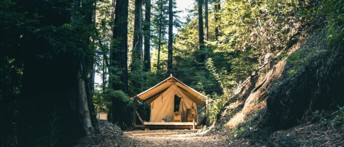 Glamping in the middle of tall trees during daytime.