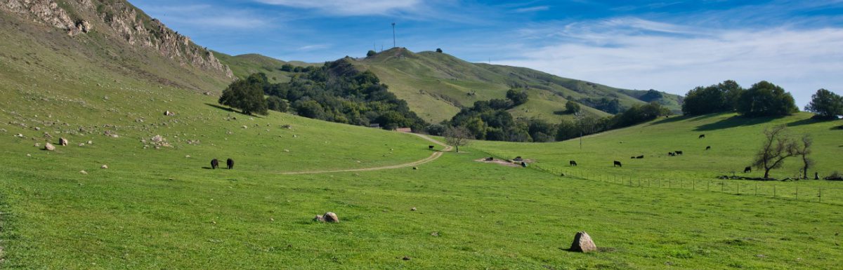 A panoramic shot of the beautiful landscape in Mission Peak Regional Preserve, located in Fremont, USA.