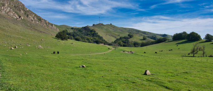 A panoramic shot of the beautiful landscape in Mission Peak Regional Preserve, located in Fremont, USA.