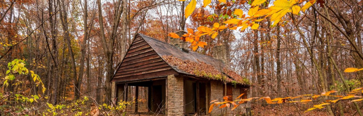 A beautiful cabin in Ohio in early November covered in fallen leaves.