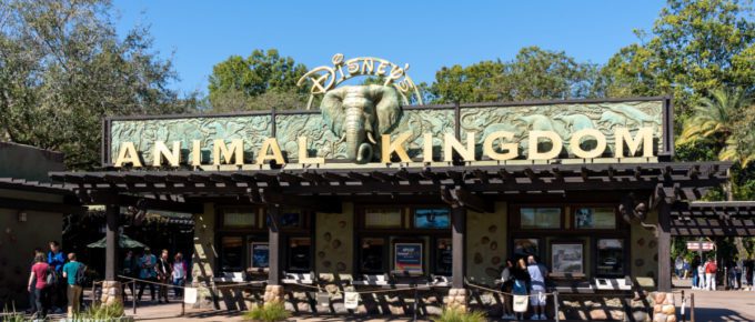The entrance to Animal Kingdom in Orlando, Florida, USA