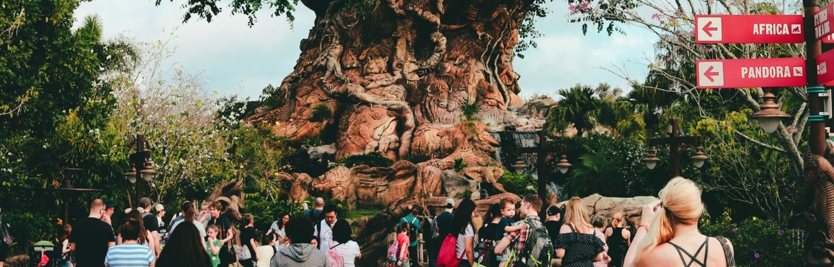 Disney's Animal Kingdom Theme Park, Disney Orlando Florida.