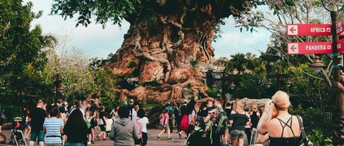 Disney's Animal Kingdom Theme Park, Disney Orlando Florida.