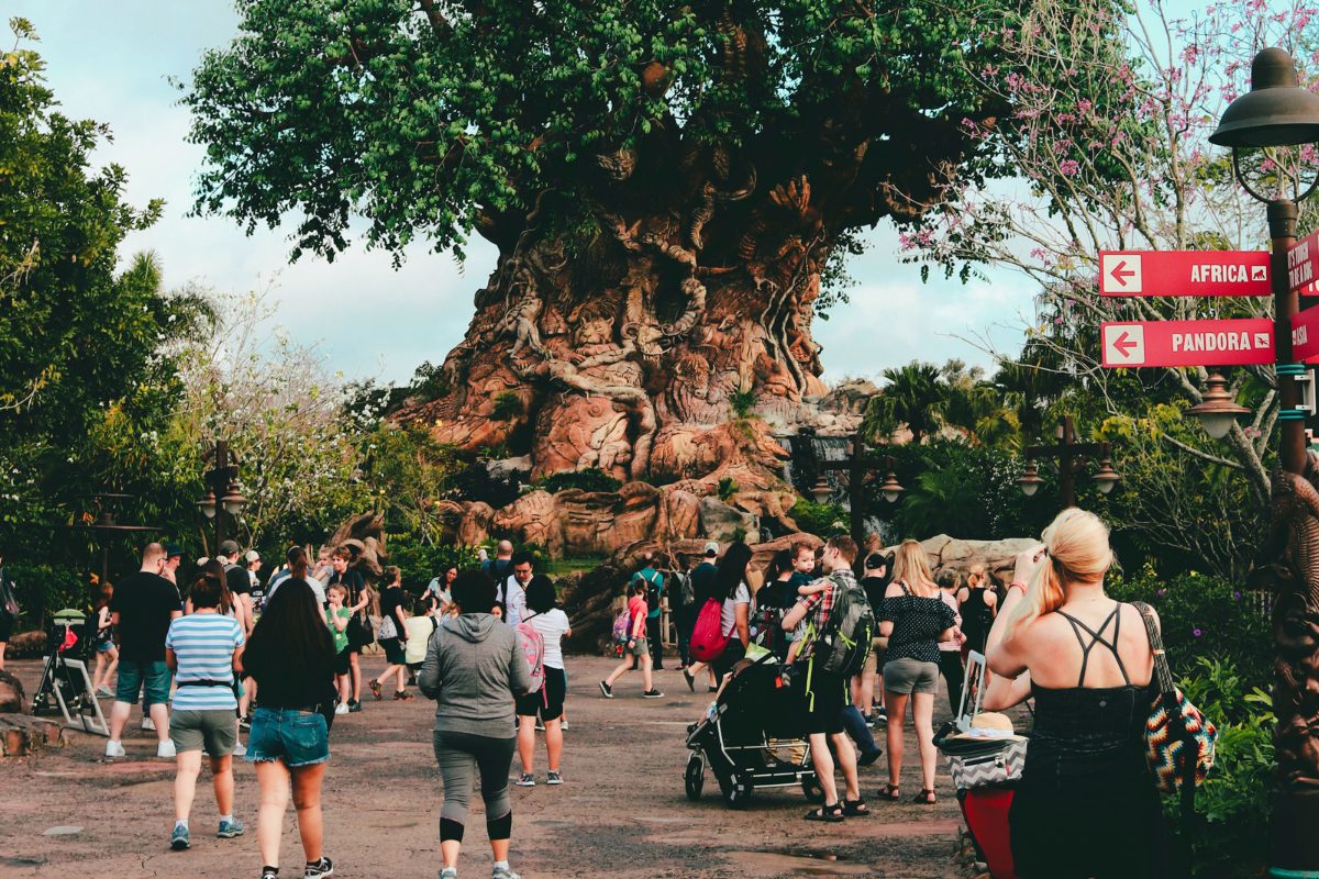 Genie Plus & Lightning Lane at Animal Kingdom Everything You Need to Know The Family Vacation