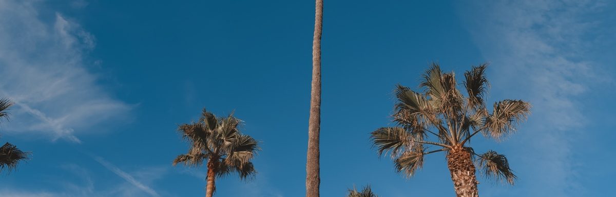 Near Venice Beach, Los Angeles, CA, USA.