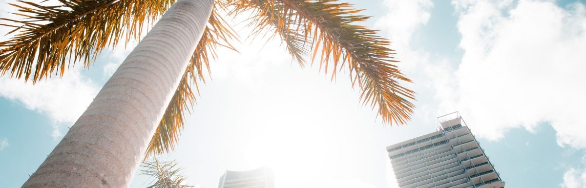 Buildings and palm trees seen on a sunny day in Miami, Florida, USA.