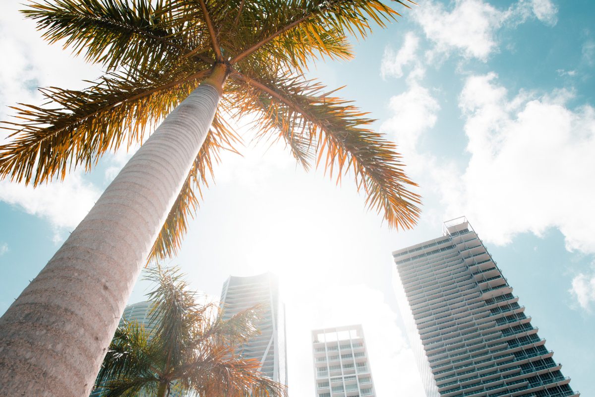 Revealed The Best Places To Stay In Miami For Families With Kids The revealed-the-best-places-to-stay-in-miami-for-families-with-kids-the