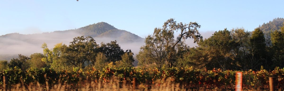 A hot air balloon seen in Napa Valley, California, USA.