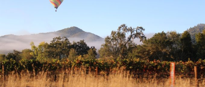 A hot air balloon seen in Napa Valley, California, USA.