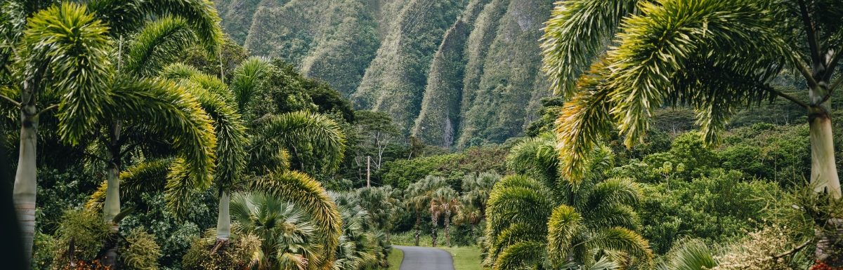 Oahu, Hawaii, USA.