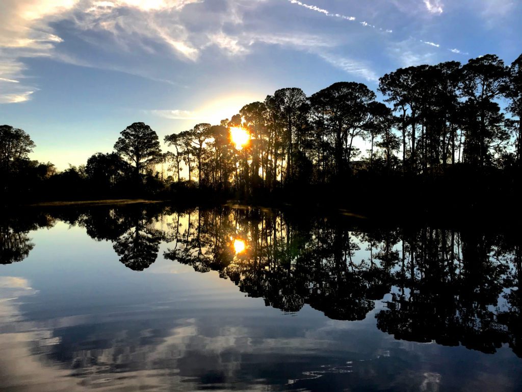 a silhouetted picture of trees against lake Davenport