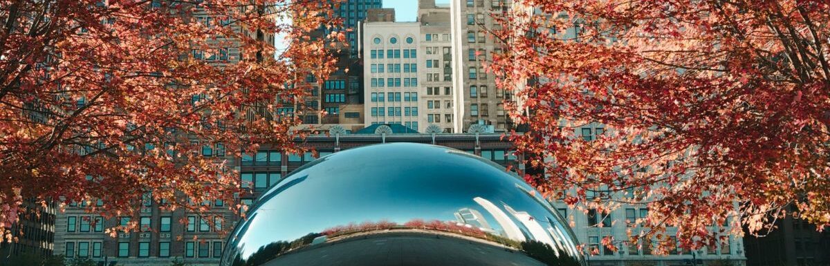 Cloud gate during daytime in Chicago, Illinois, USA.