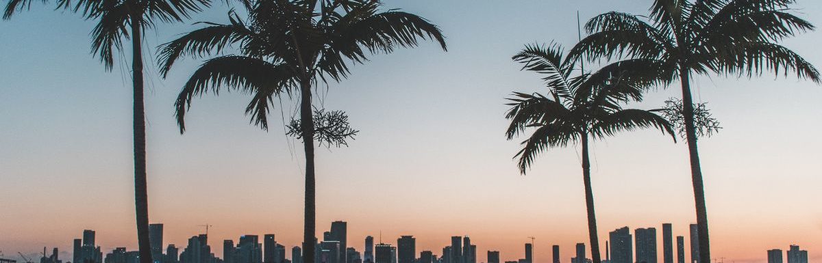Silhouette of palm trees near a body of water during sunset in Miami Beach, Florida, USA.