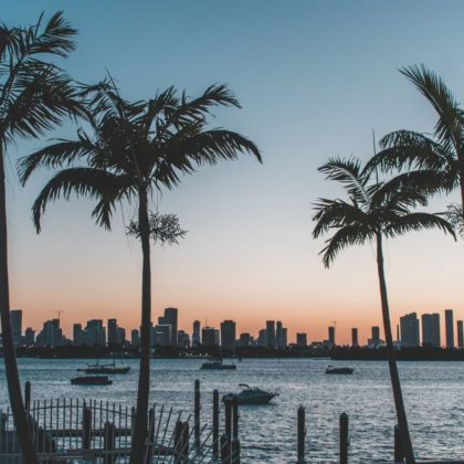 Silhouette of palm trees near a body of water during sunset in Miami Beach, Florida, USA.