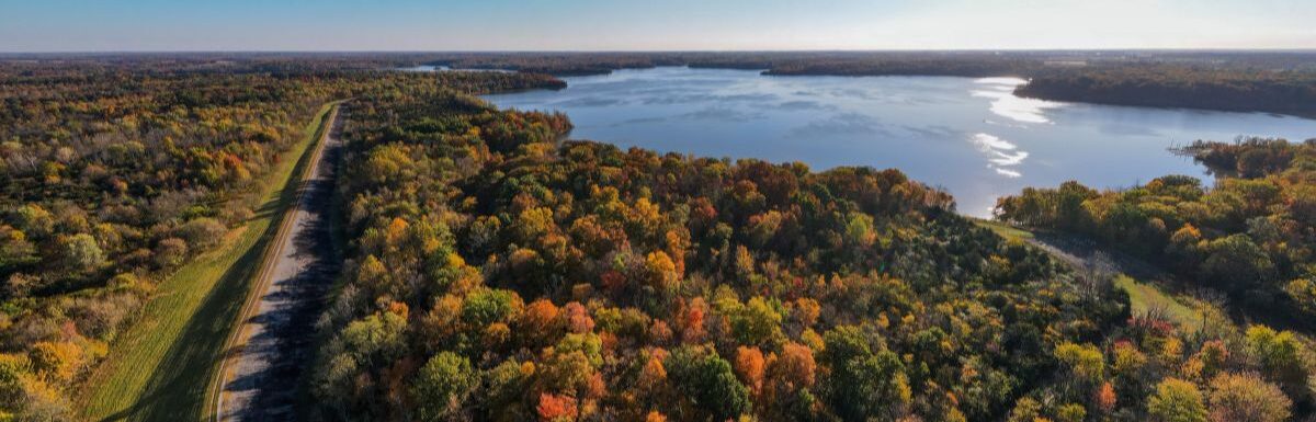 Green and yellow trees during the day in Caesar Creek Lake, Ohio, USA.