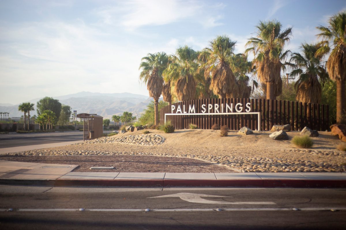 Palm Springs Family Travel Guide Everything You Need to Know Before