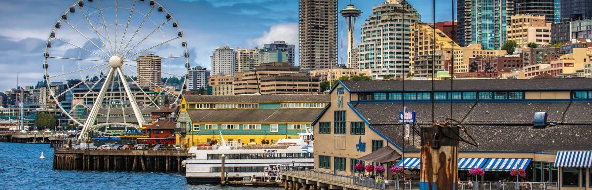 Ferris wheel near body of water in Seattle, Washington, USA.
