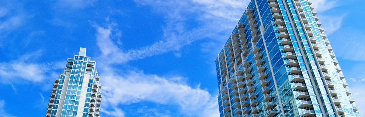 Green palm trees near high rise buildings on a sunny day in Tampa, Florida, USA.