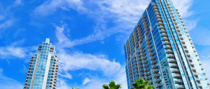 Green palm trees near high rise buildings on a sunny day in Tampa, Florida, USA.