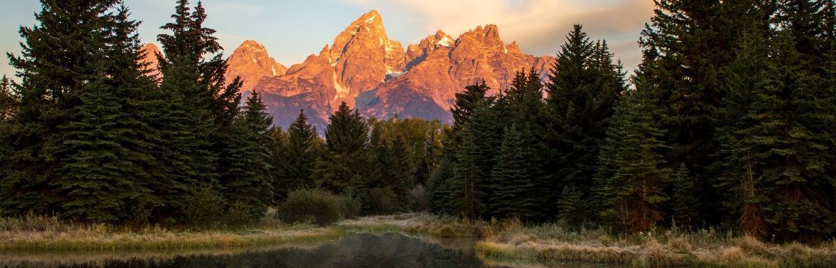 Green pine trees near like during sunrise at Schwabacher's Landing in Jackson, Wyoming.
