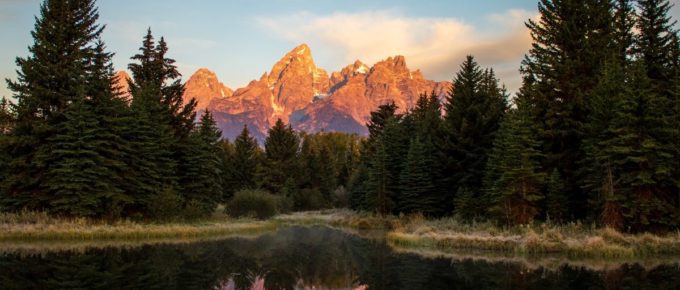 Green pine trees near like during sunrise at Schwabacher's Landing in Jackson, Wyoming.